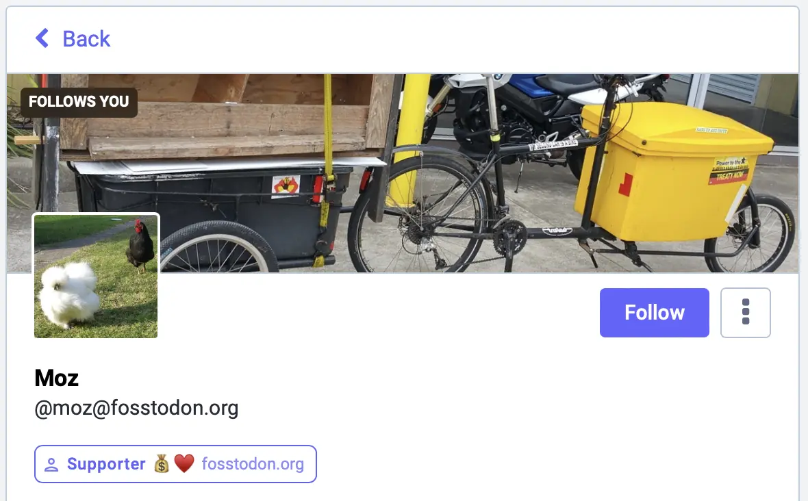 Supporter role example